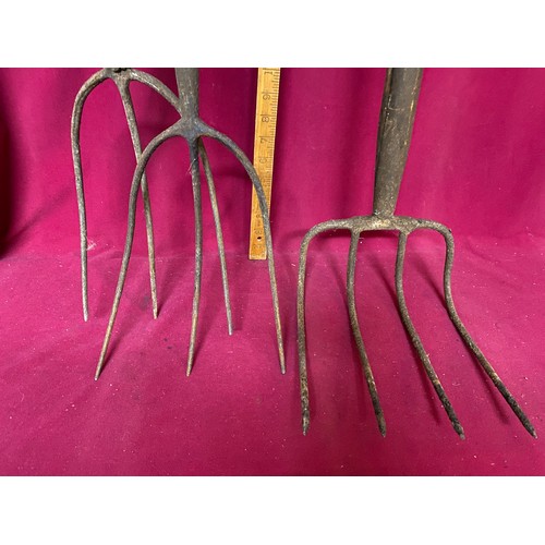 316 - 2 x antique hay forks and a creek