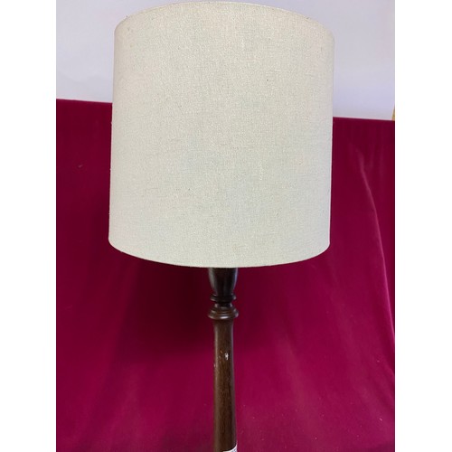 679 - Standard lamp measuring 155 cms tall