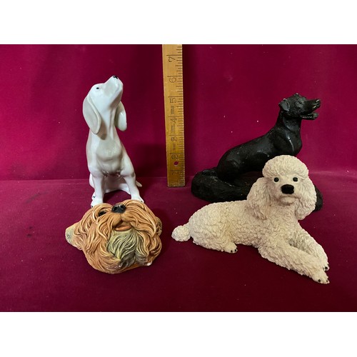 167 - Vintage Spanish porcelain Labrador, Italian Poodle sculpture, Bossons Yorkie and sculptured gun dog