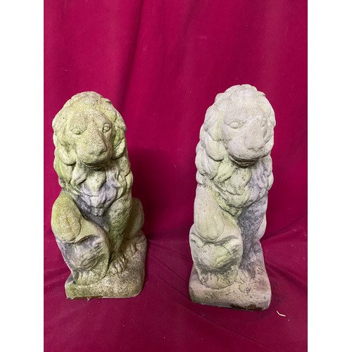 433 - Two stone garden lions measuring 42 cms tall