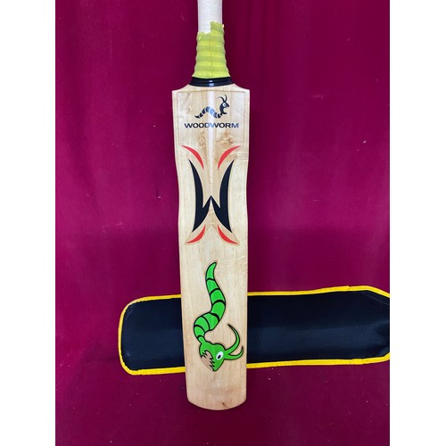 365 - A Woodworm Pioneer 'The Globe' cricket bat