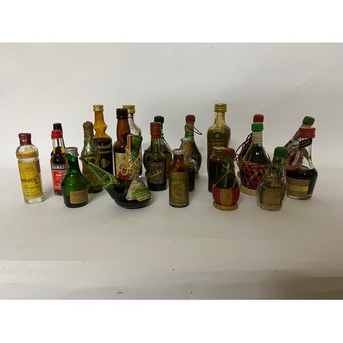 341 - Selection of 22 assorted miniatures