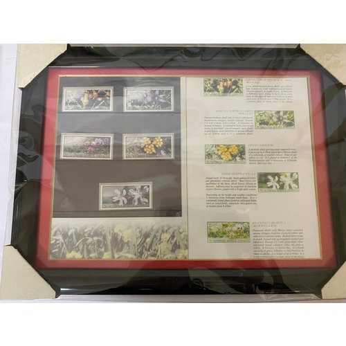 352 - Selection of 4 x framed collections of cigarette and tea cards