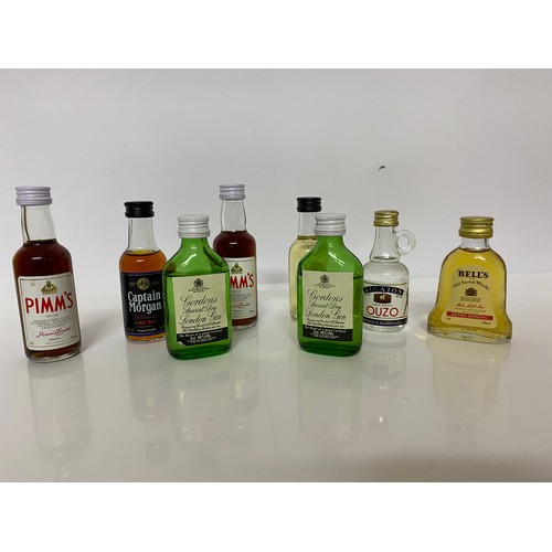 503 - Collection of miniature Whisky, Brandy and Gin bottles