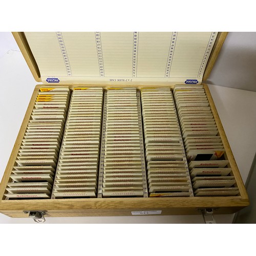 511 - Collection of 35mm slides