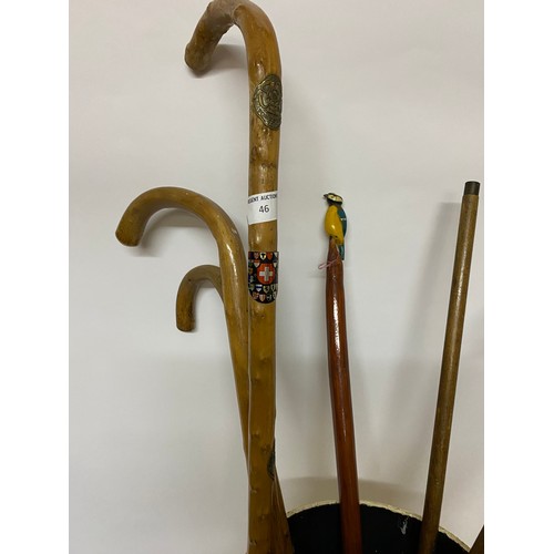 46 - Walking stick stand with collection of walking sticks