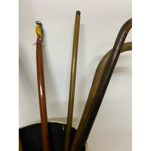 46 - Walking stick stand with collection of walking sticks