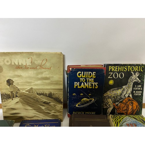 359 - Selection of books including Lord of the Rings, Guide to the Planets, Prehistoric Zoo, and other tit... 