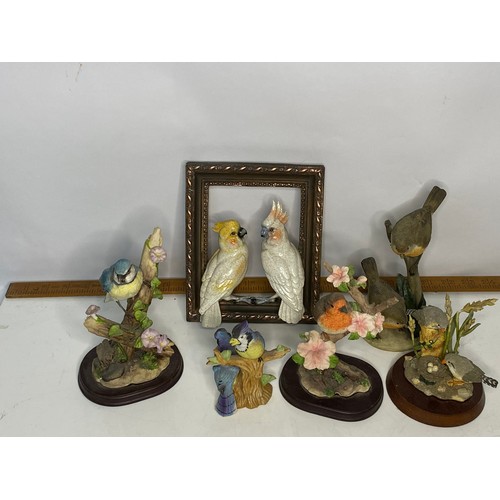 621 - Collection of 5 x garden bird figures and framed vintage Chaffinch print and bird pottery frame