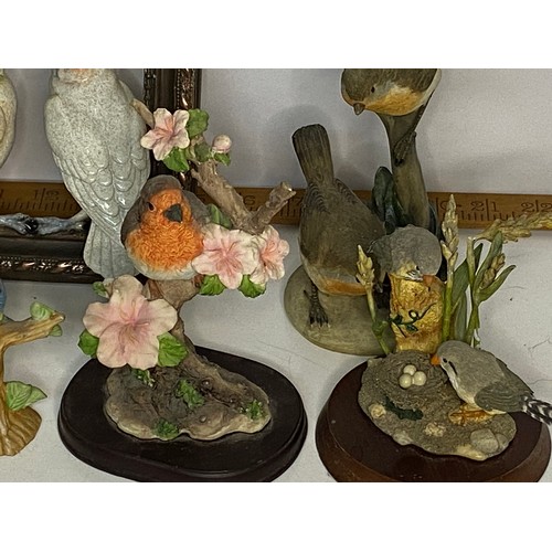 621 - Collection of 5 x garden bird figures and framed vintage Chaffinch print and bird pottery frame