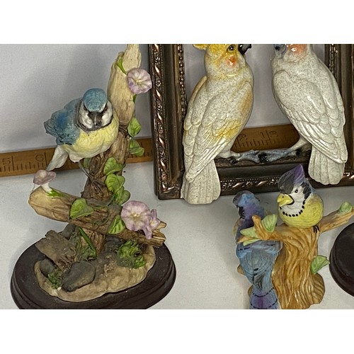 621 - Collection of 5 x garden bird figures and framed vintage Chaffinch print and bird pottery frame