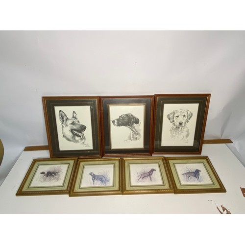 623 - Porcelain dog, 3 x framed dog drawings by Noel Kirk and 4 x miniature framed dog prints