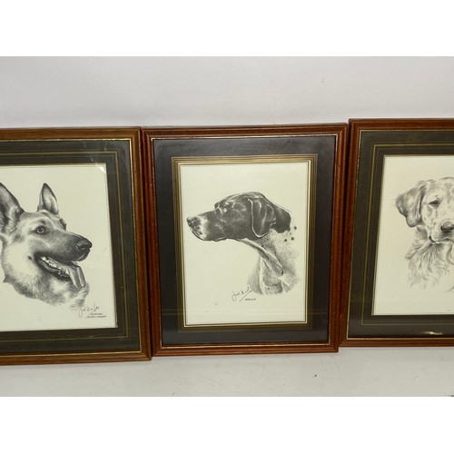 623 - Porcelain dog, 3 x framed dog drawings by Noel Kirk and 4 x miniature framed dog prints