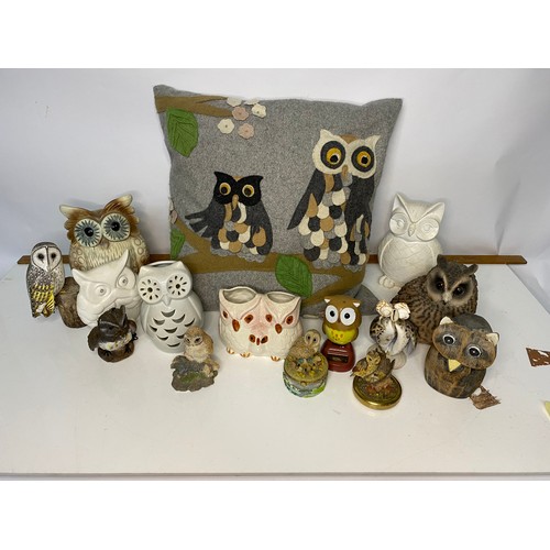 627 - Collection of Owl figurines and cushion