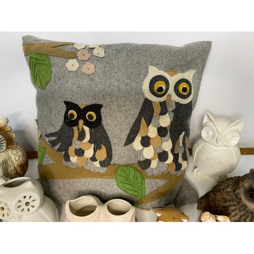 627 - Collection of Owl figurines and cushion