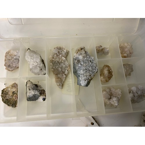 553 - Collection of fossils, rocks and crystals.