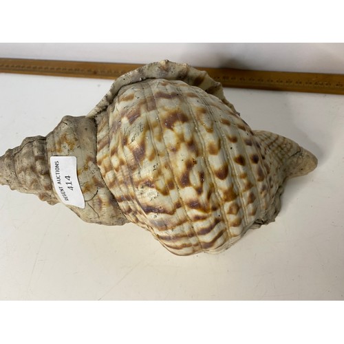 414 - Large sea shell measuring 28 cms long