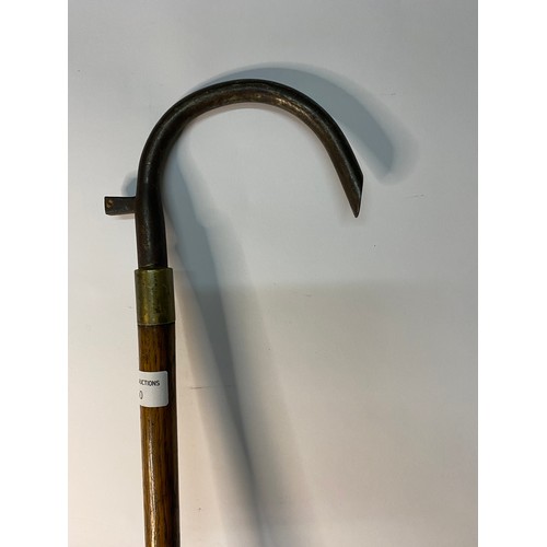 50 - Vintage walking stick / hiking cane.