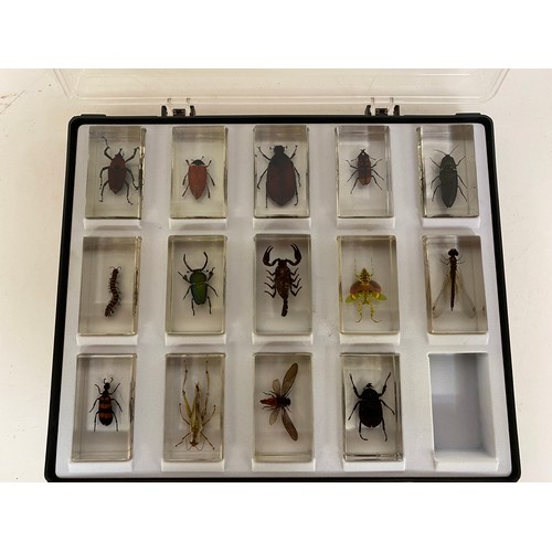 747 - Vintage set of beetles and insects in epoxy resin