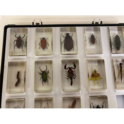 747 - Vintage set of beetles and insects in epoxy resin