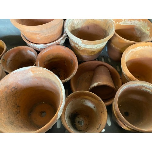 815 - Selection of clay plant pots