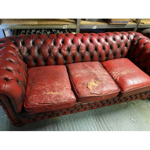 871 - Oxblood red chesterfield 3 seater measuring 198 cms wide