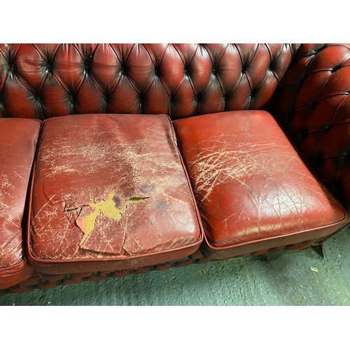 871 - Oxblood red chesterfield 3 seater measuring 198 cms wide