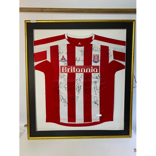 905 - Framed signed premier league Stoke football shirt 07/08 season