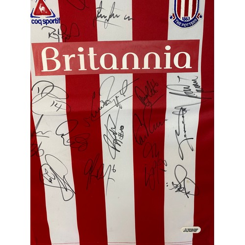 905 - Framed signed premier league Stoke football shirt 07/08 season