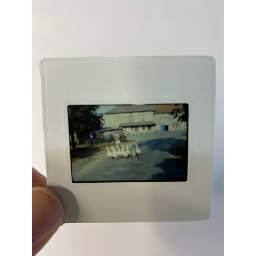 25 - Large collection of vintage 35mm slides.