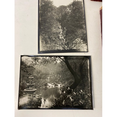 390 - Selection of glass negatives and black and white photographs.