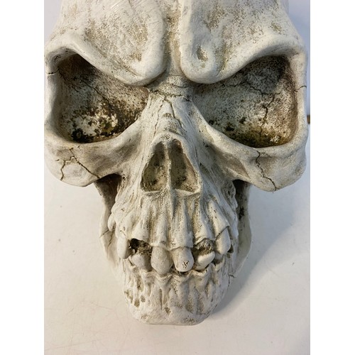 43 - Large Gothic skull 29cms