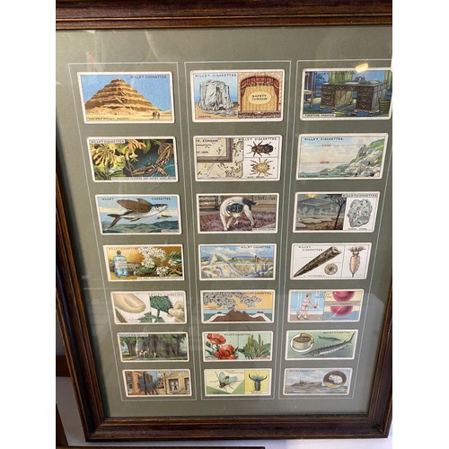 212 - Assortment of framed Wills cigarette cards