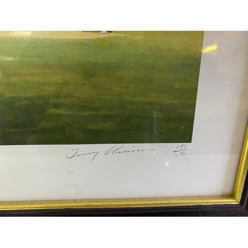 225 - Framed Terry Harrison cricket print. Hand signed Ltd Edition 151/250. 72x42.5cm