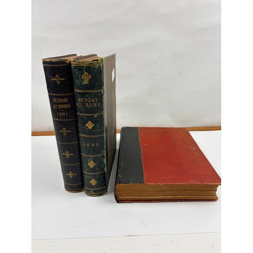 882 - 3 x antique books, a 1893 'Book of Poultry' by Lewis Wright and 2 x  'Sundry Home Family Magazines' ... 