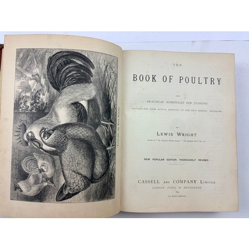 882 - 3 x antique books, a 1893 'Book of Poultry' by Lewis Wright and 2 x  'Sundry Home Family Magazines' ... 