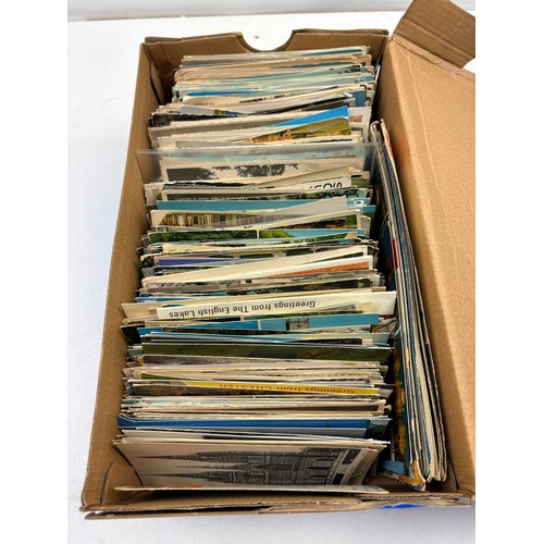 Lot 527       
