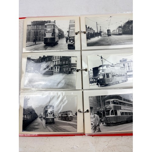 Lot 536       