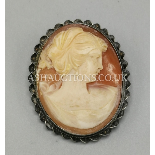 251 - PRESENTED AS SILVER MOUNTED CAMEO BROOCH