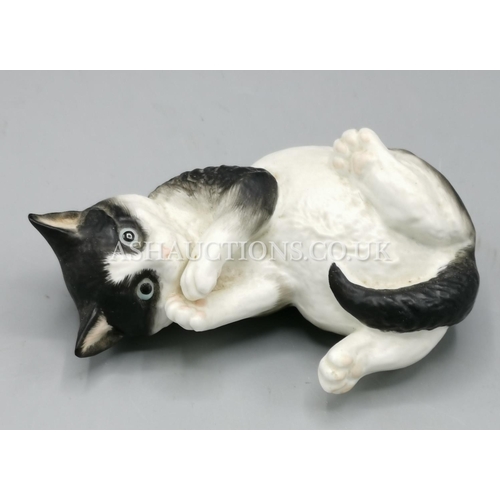 60 - ROYAL WORCESTER MODEL OF A BLACK & WHITE KITTEN