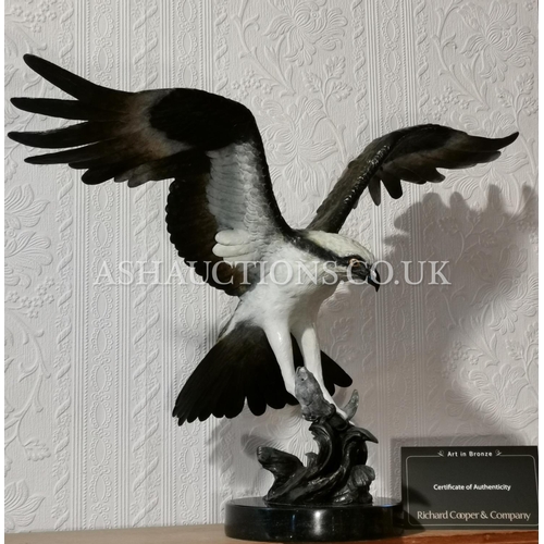 61 - SOLID FOUNDRY BRONZE Huge 67cm x 42cm (Weight 11.7kg) MODEL OF AN OSPREY CATCHING A FISH (Sculpted B...