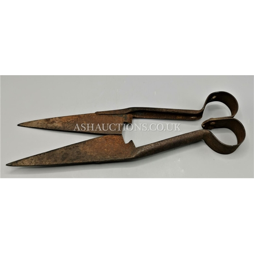 113 - EDWARDIAN SHEEP SHEARS.
(Please Note This Lot WILL NOT BE POSTED...PICK UP ONLY !!!)