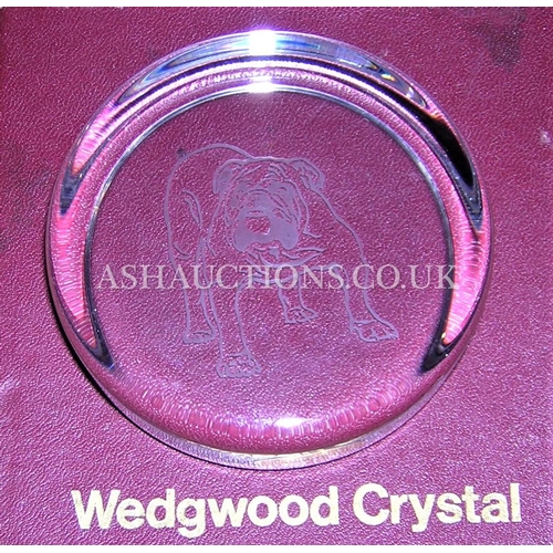 437 - WEDGWOOD CRYSTAL BULLDOG PAPERWEIGHT (Boxed)