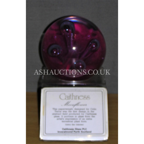 445 - CAITHNESS CRYSTAL GLASS PAPERWEIGHT IN THE MOONFLOWER DESIGN Plus STAND