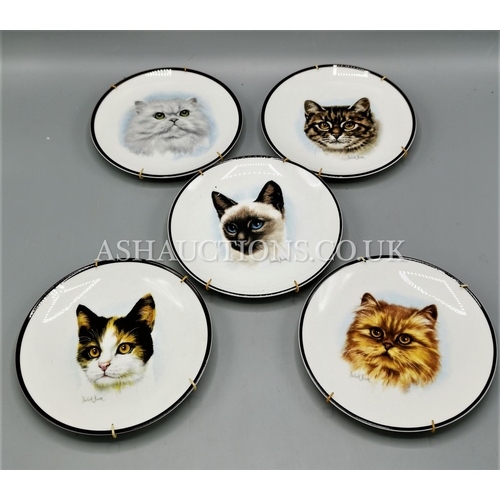 589 - COALPORT CHINA CAT PLATES (5) by Derick Brown