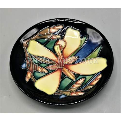 26 - MOORCROFT COASTER IN THE PANACHE DESIGN (Collectors Club Exclusive 2004)