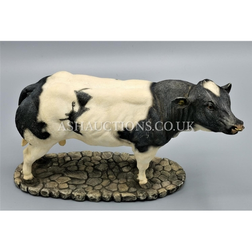 19 - SHERRATT & SIMPSON MODEL OF A BELGIUM BLUE BULL (57325) WITH GLASS EYES