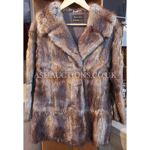 250A - FUR COAT MUSQUASH 3/4 LENGTH APPROX SIZE 10 (James Smith Furriers, Hanley,Stoke On Trent)  (Please N... 