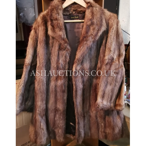 260A - FUR COAT MUSQUASH 3/4 LENGTH APPROX SIZE 14 (James Smith Furriers, Hanley,Stoke On Trent)  (Please N... 