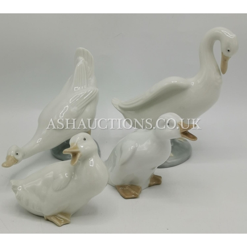 793 - LLADRO (Nao) MODELS OF FOUR DUCKS